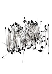 Minelli İğne Kutulu Siyah Başlı 100'lü