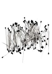 Minelli İğne Kutulu Siyah Başlı 100'lü