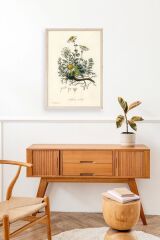 Papatya Ahşap Çerçeveli Tablo 30 x 42