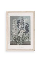 Legendarte Canvas Ahşap Çerçeveli Tablo 17 x 23