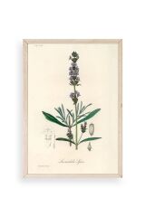 Yaprak Ahşap Çerçeveli Tablo 17 x 23