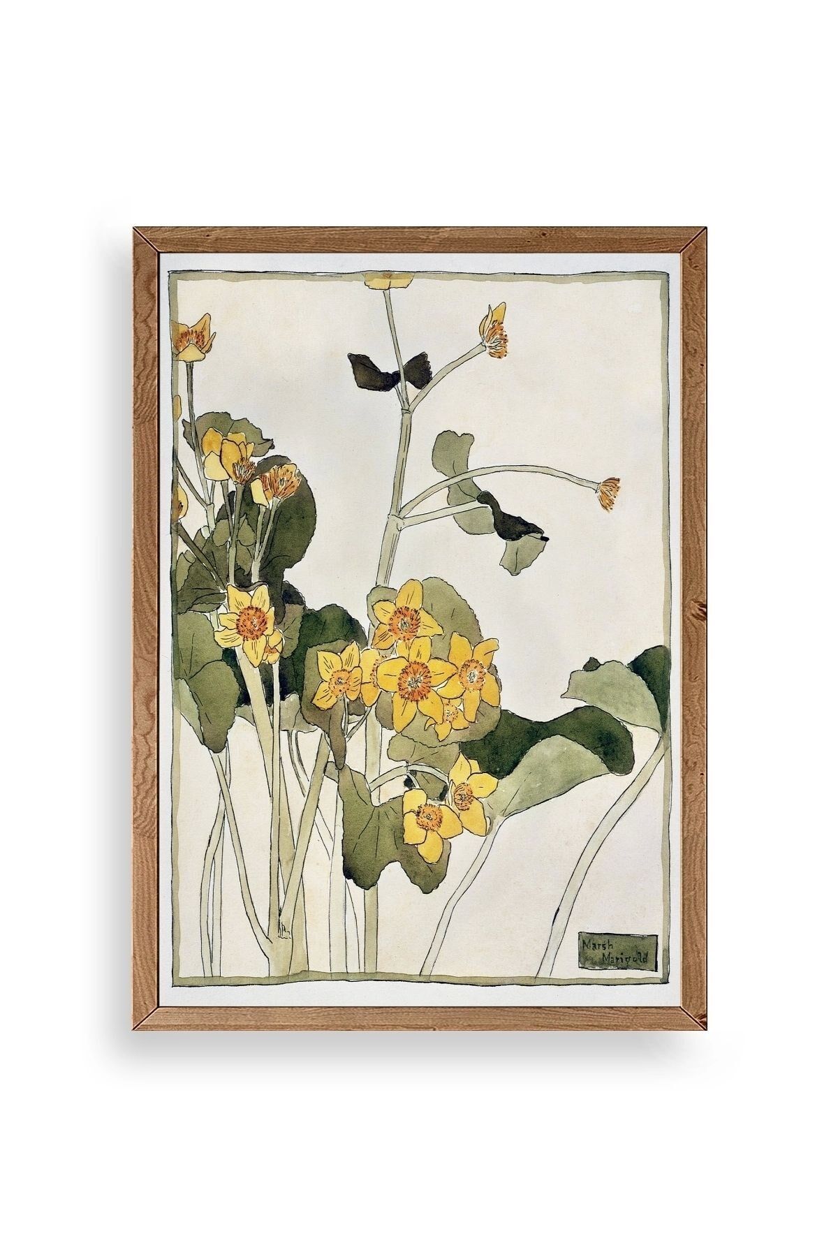 Marsh Marigold Ahşap Çerçeveli Tablo 50 x 70