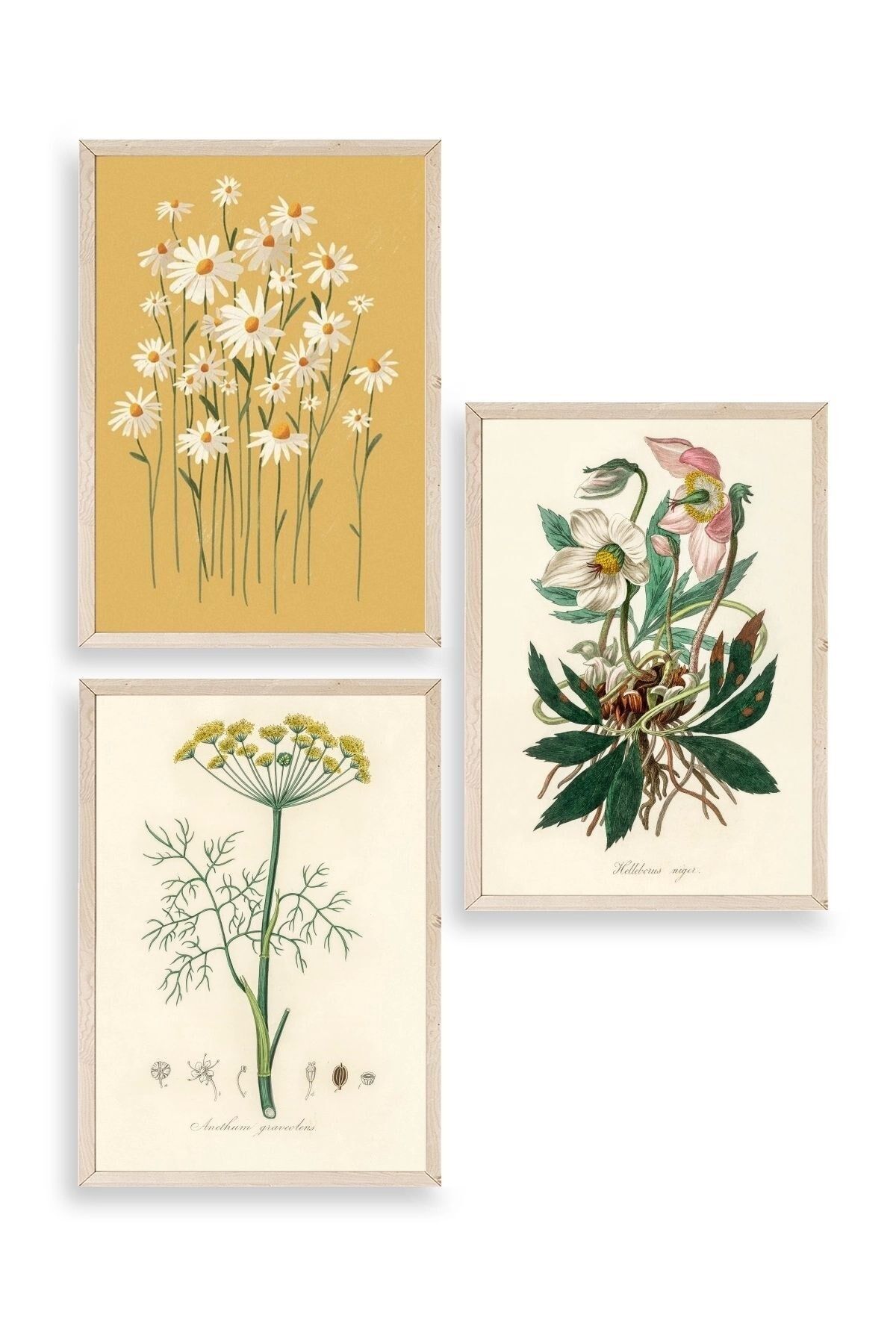 Çiçek Üçlü Ahşap Çerçeveli Tablo 50 x 70