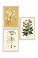 Çiçek Üçlü Ahşap Çerçeveli Tablo 23 x 30