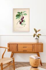 Meyveler Ahşap Çerçeveli Tablo 23 x 30