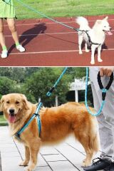 BUFFER® Reflektörlü Fosforlu Köpek Gezdirme Halatı Tasma Kayışı Metal Kancalı 130 cm