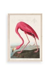 Flamingo Ahşap Çerçeveli Tablo 30 x 42