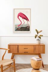 Flamingo Ahşap Çerçeveli Tablo 50 x 70