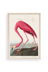 Flamingo Ahşap Çerçeveli Tablo 17 x 23