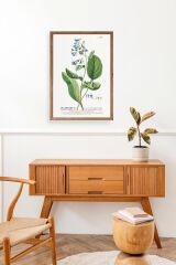 Pvlmonarla Ahşap Çerçeveli Tablo 23 x 30