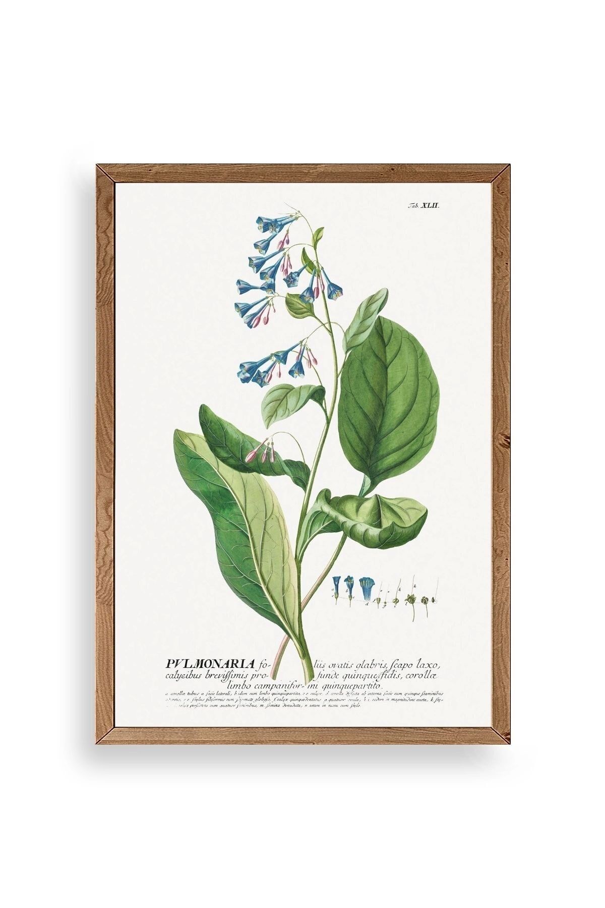 Pvlmonarla Ahşap Çerçeveli Tablo 23 x 30