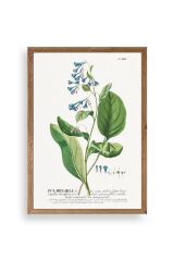 Pvlmonarla Ahşap Çerçeveli Tablo 23 x 30