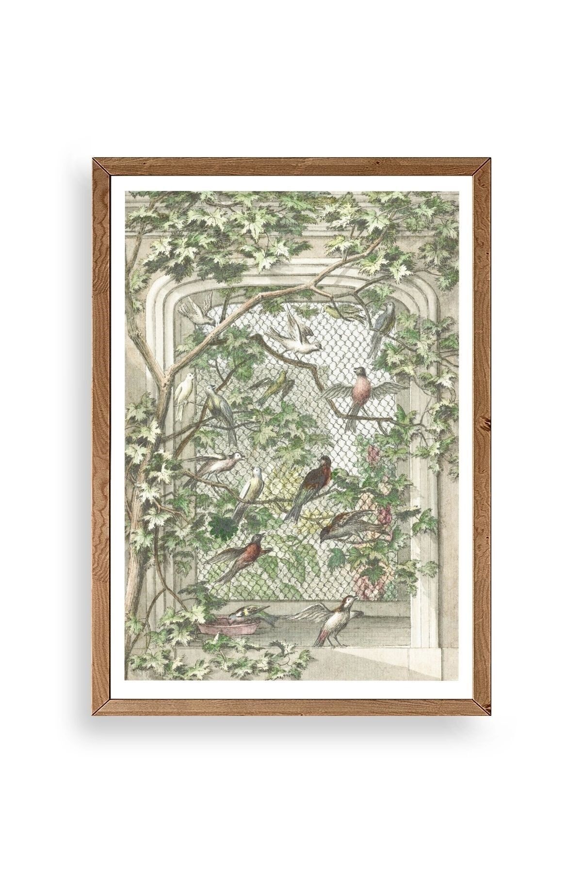 Kuşlar Ahşap Çerçeveli Tablo 30 x 42