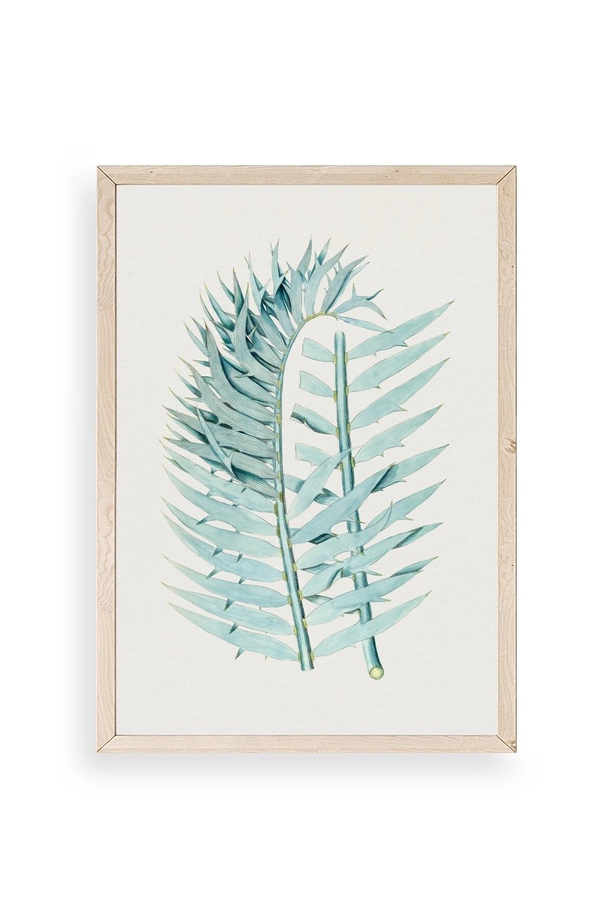 Yapraklar Ahşap Çerçeveli Tablo 17 x 23