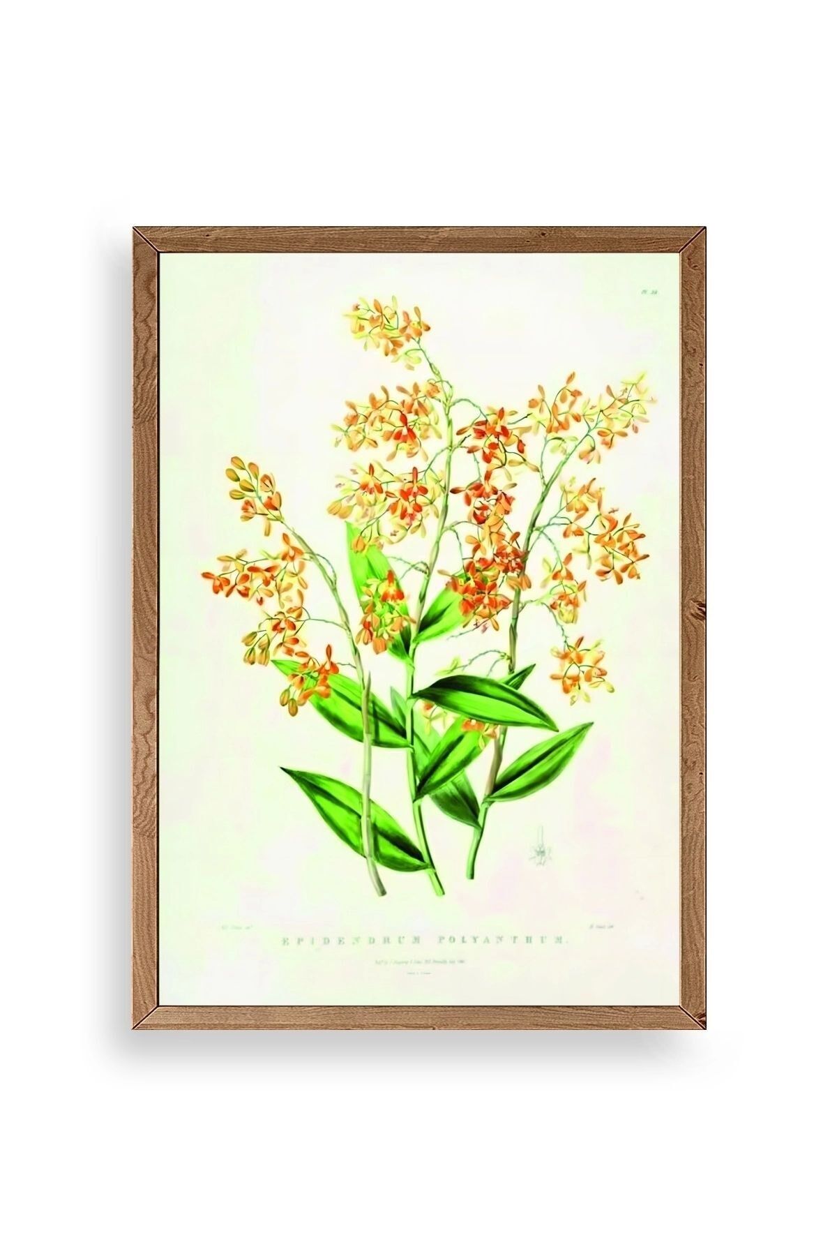 Çiçek Ahşap Çerçeveli Tablo 23 x 30