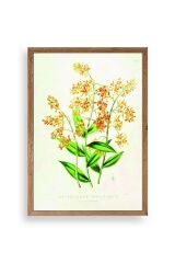 Çiçek Ahşap Çerçeveli Tablo 23 x 30