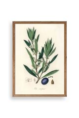 Yaprak Ahşap Çerçeveli Tablo 23 x 30