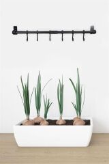 BUFFER® Duvara Monte Edilen 6 Kancalı Dekor Kaşıklık ve Kupa Askısı