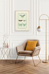 Kelebek Ahşap Çerçeveli Tablo 23 x 30