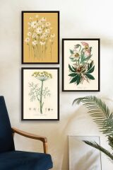 Çiçek Üçlü Ahşap Çerçeveli Tablo 50 x 70