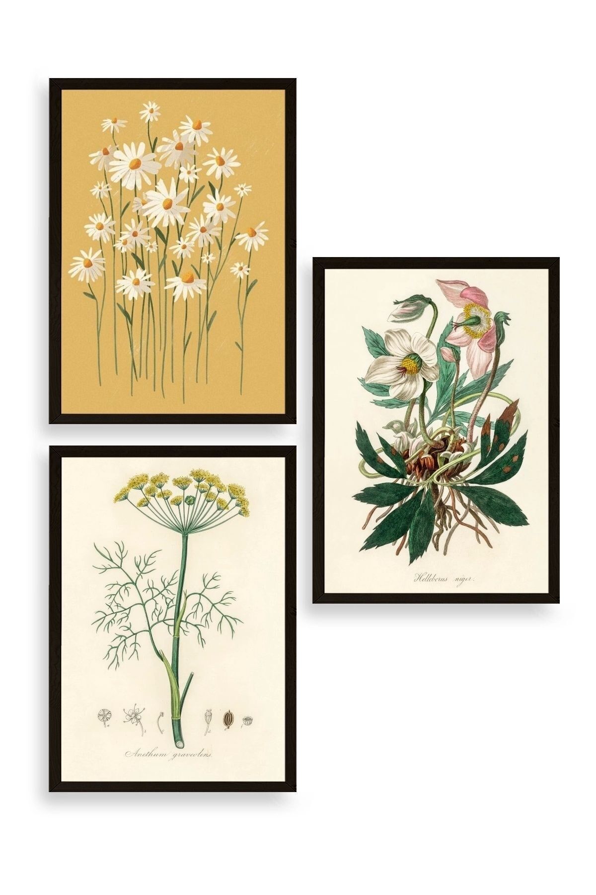 Çiçek Üçlü Ahşap Çerçeveli Tablo 23 x 30