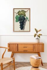 Üzüm Ahşap Çerçeveli Tablo 17 x 23