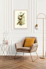 Kuşlar Ahşap Çerçeveli Tablo 17 x 23
