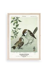 Kuşlar Ahşap Çerçeveli Tablo 17 x 23