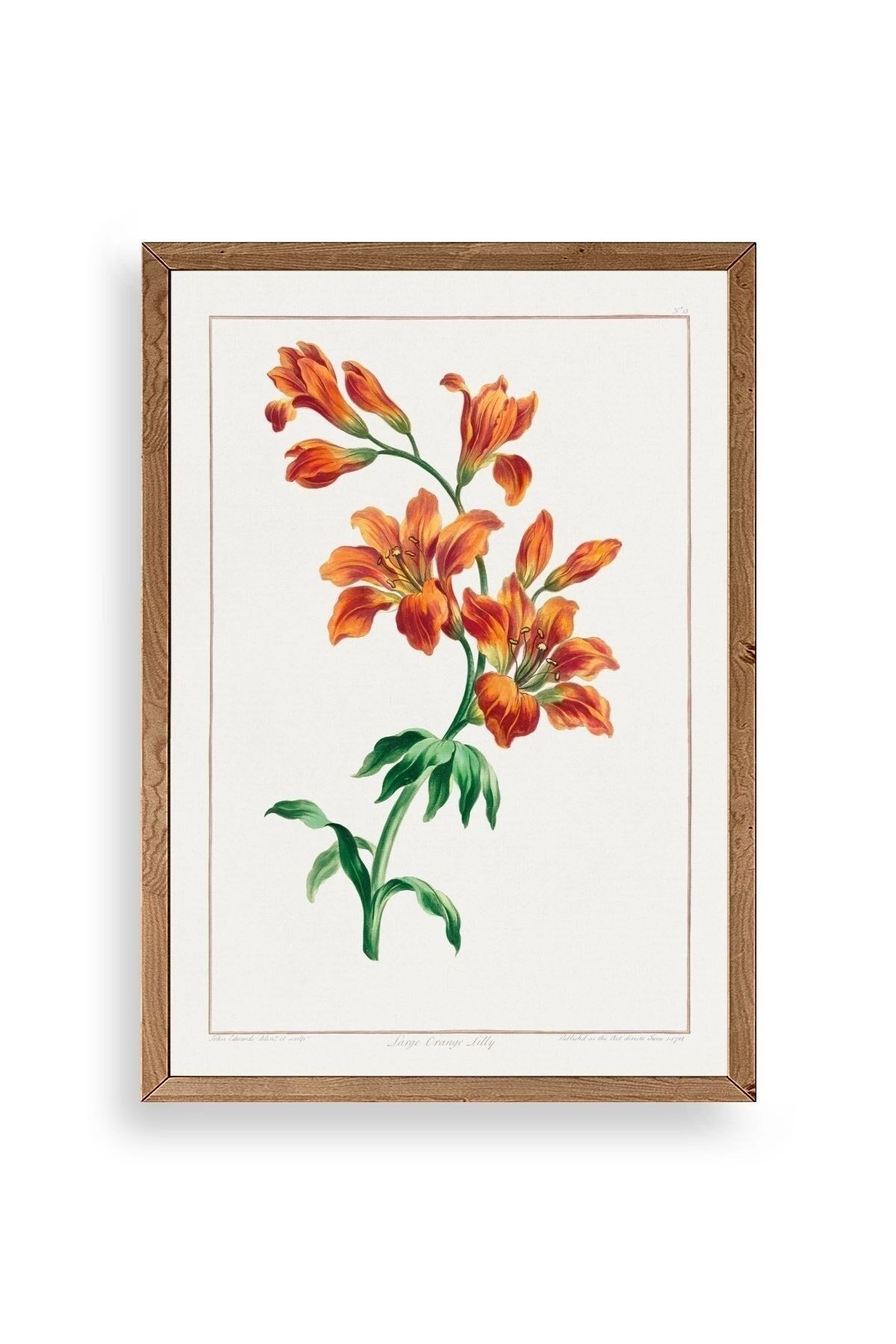 Turuncu Zambak Ahşap Çerçeveli Tablo 23 x 30