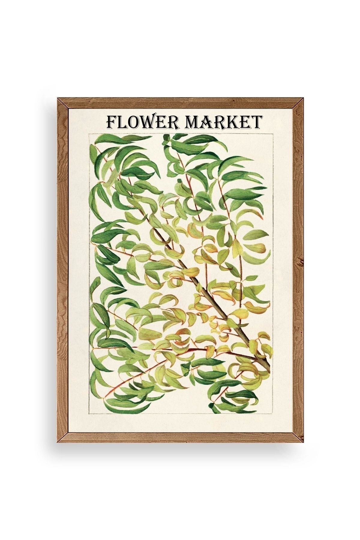 Grancica Breskve Ahşap Çerçeveli Tablo 17 x 23