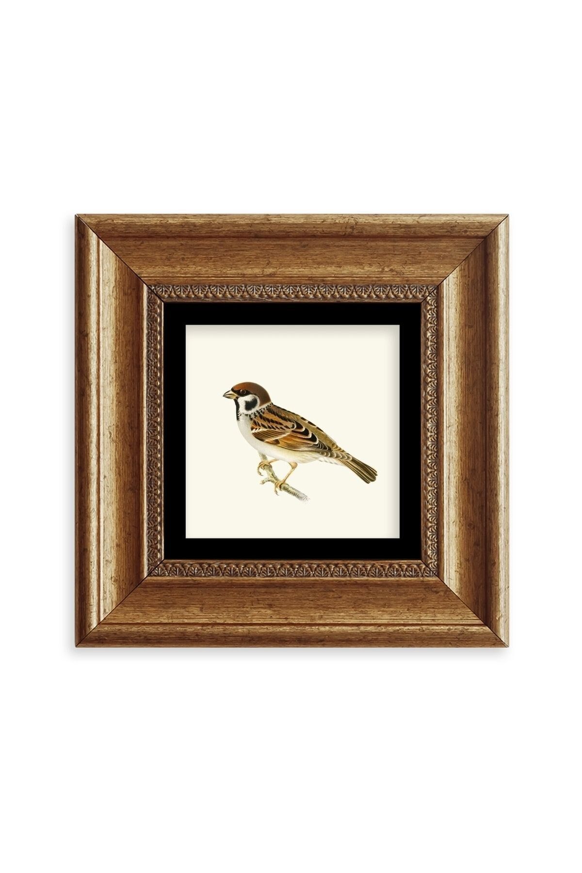 Daldaki Serçe Çerçeveli Taş Tablo 20 cm