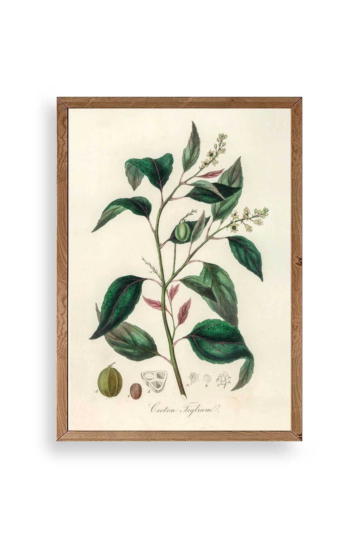 Yaprak Ahşap Çerçeveli Tablo 23 x 30