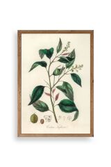 Yaprak Ahşap Çerçeveli Tablo 23 x 30