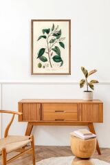 Yaprak Ahşap Çerçeveli Tablo 50 x 70