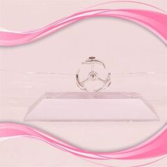 BUFFER® Dekoratif Masa Üstü Obje Manyetik Kinetik Orbital Dönen Yunuslar