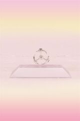 BUFFER® Dekoratif Masa Üstü Obje Manyetik Kinetik Orbital Dönen Yunuslar