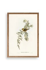 Daldaki Kuş Ahşap Çerçeveli Tablo 50 x 70