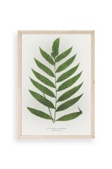 Yaprak Ahşap Çerçeveli Tablo 23 x 30