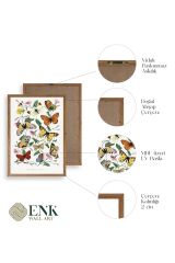 Lepidopteres Diurnes Ahşap Çerçeveli Tablo 30 x 42