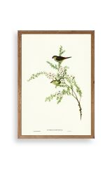 Daldaki Kuş Ahşap Çerçeveli Tablo 23 x 30