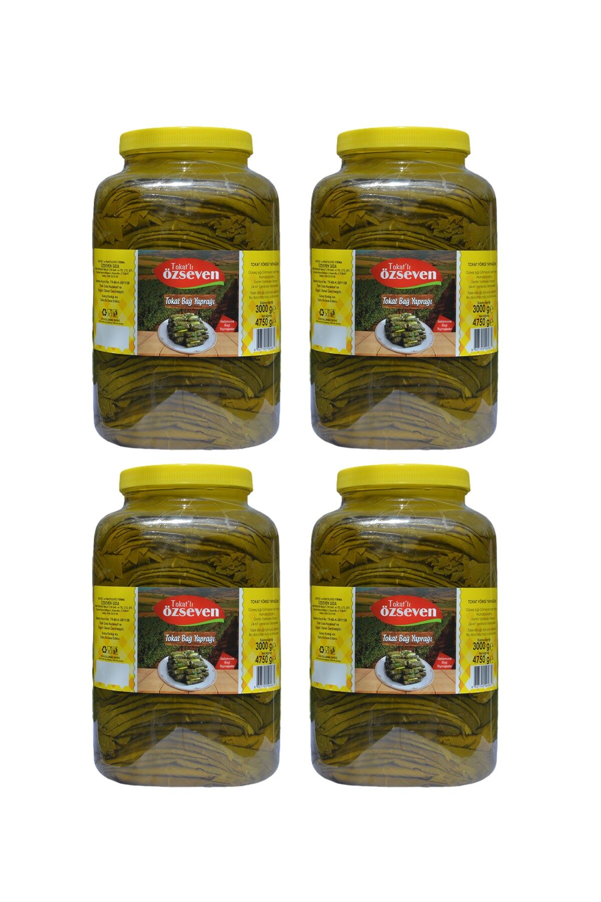 Tokat Bağ Yaprağı (4750gr x 4 Adet) 1 Koli