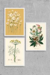 Çiçek Üçlü Ahşap Çerçeveli Tablo 50 x 70