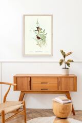 Kuşlar Ahşap Çerçeveli Tablo 30 x 42