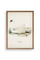 Kuğu Ahşap Çerçeveli Tablo 23 x 30