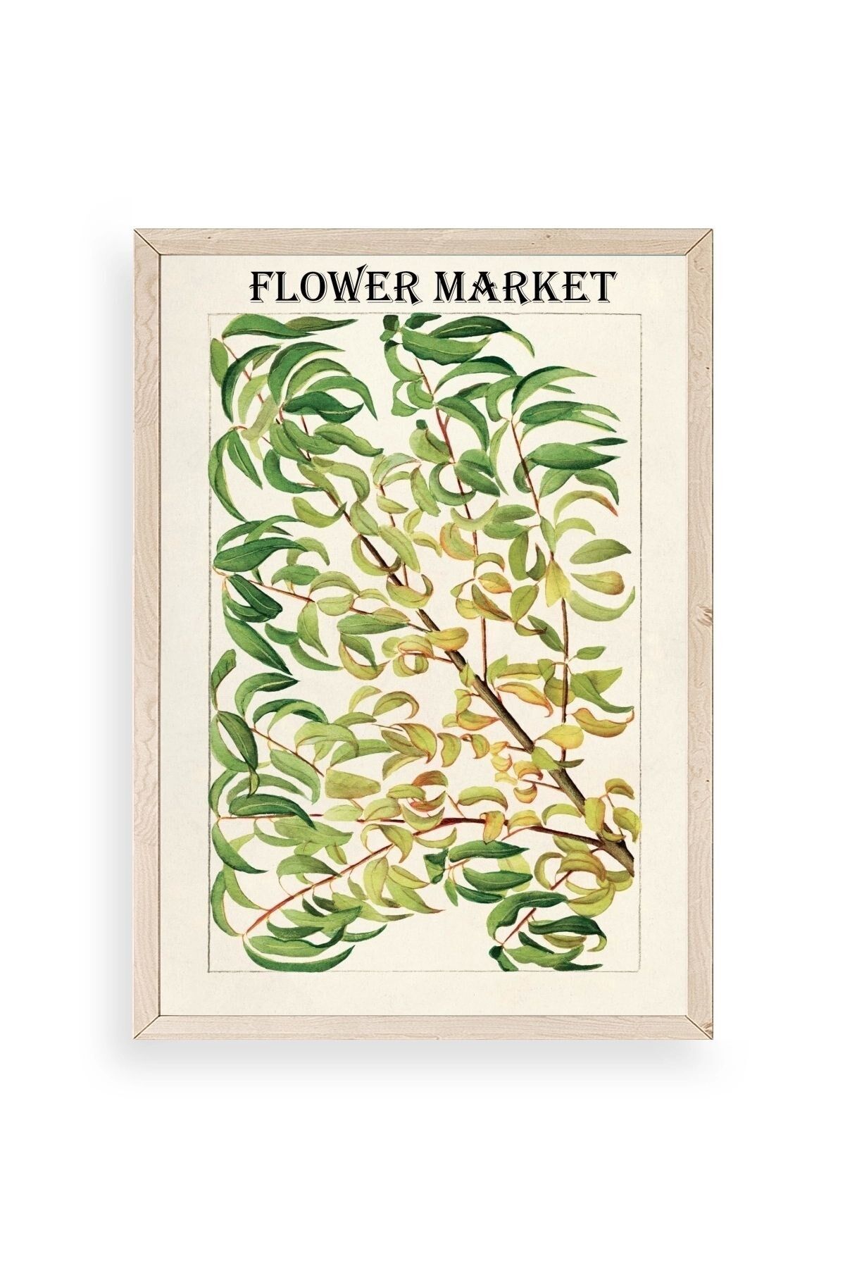 Grancica Breskve Ahşap Çerçeveli Tablo 23 x 30