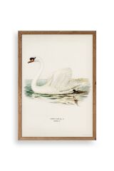 Kuğu Ahşap Çerçeveli Tablo 17 x 23