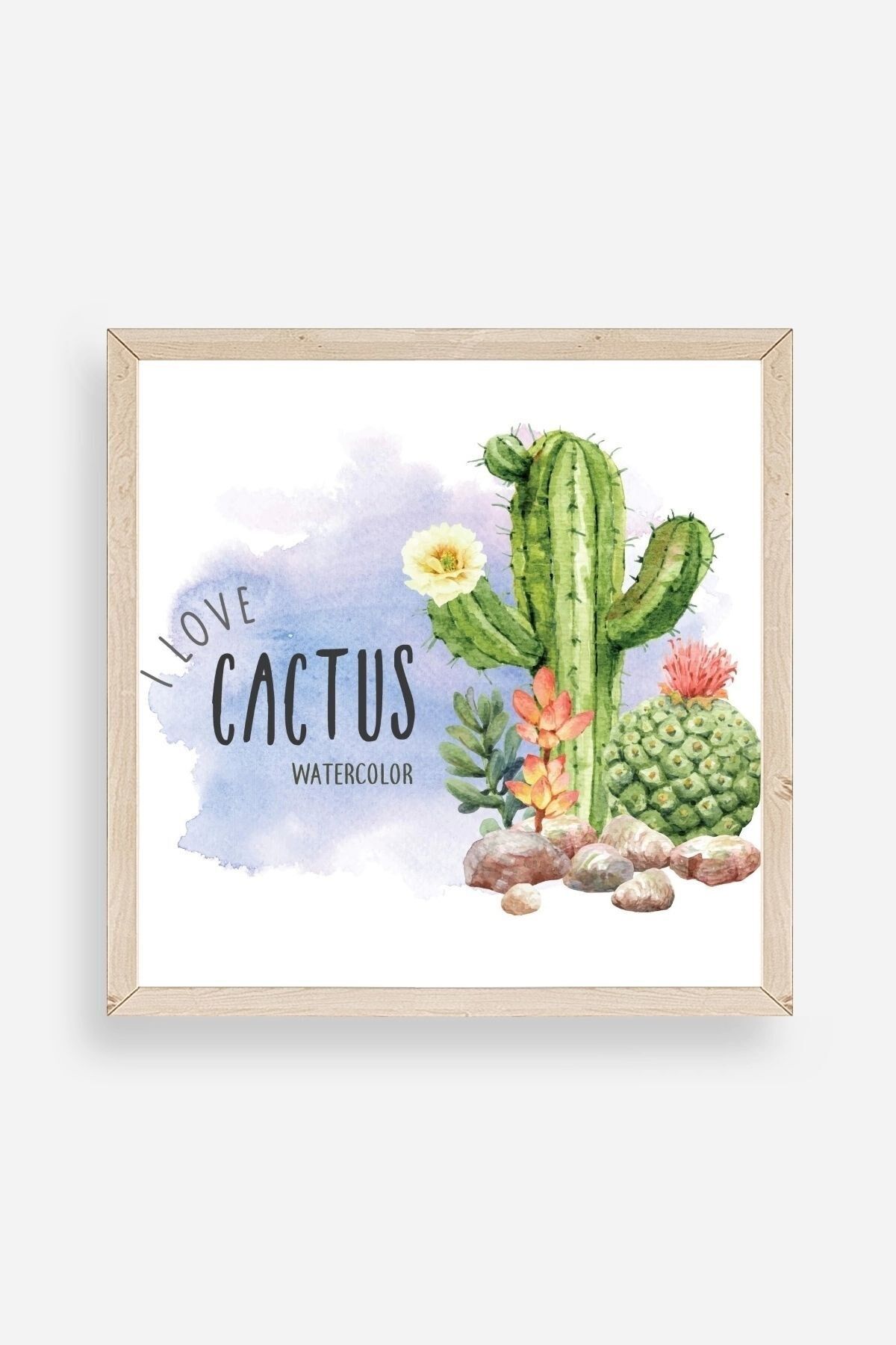 Kaktüs Ahşap Çerçeveli Tablo 23 x 23