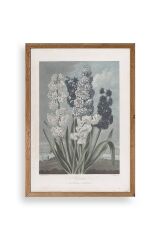 Legendarte Canvas Ahşap Çerçeveli Tablo 50 x 70