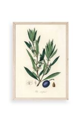 Yaprak Ahşap Çerçeveli Tablo 23 x 30