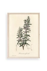 Yaprak Ahşap Çerçeveli Tablo 50 x 70